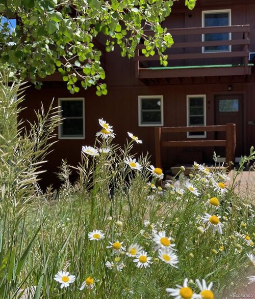 41 Poplar Circle, Silverthorne, CO, 80498 | Card Image