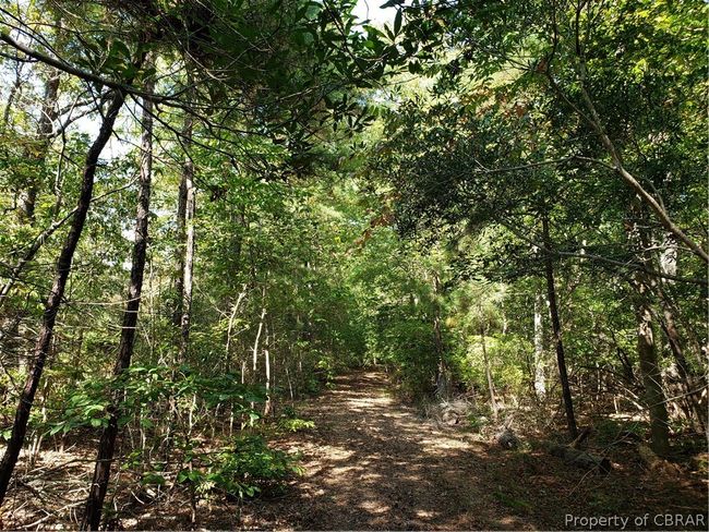 0 Potato Neck Rd, Home with 0 bedrooms, 0 bathrooms and null parking in Port Haywood VA | Image 4