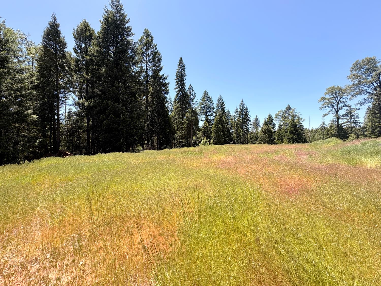 Land in Nevada City 5