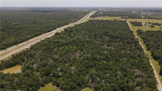 Drone / aerial view of a forest | Image 13