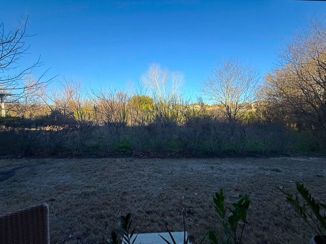 View of yard from back patio | Image 20