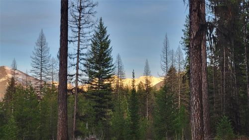 34477 Shay Lake Rd, Bigfork, MT, 59911-6895 | Card Image