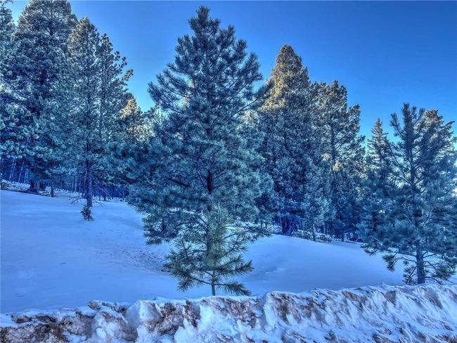 1174 Monarch Dr, Home with 0 bedrooms, 0 bathrooms and null parking in Cripple Creek CO | Image 7