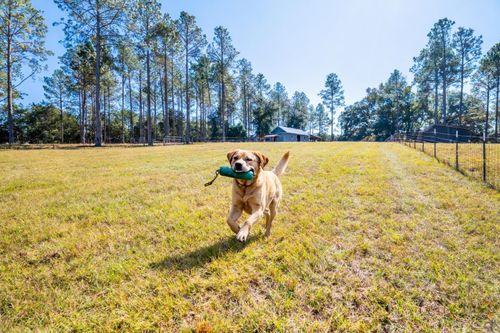 9283 Tallokas Rd, Pavo, GA, 31778-7006 | Card Image