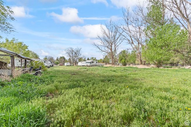 View of yard | Image 38