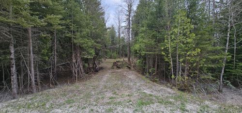 43 Hardwick Cove Road, Northern Bruce Peninsula, ON, N0H1W0 | Card Image