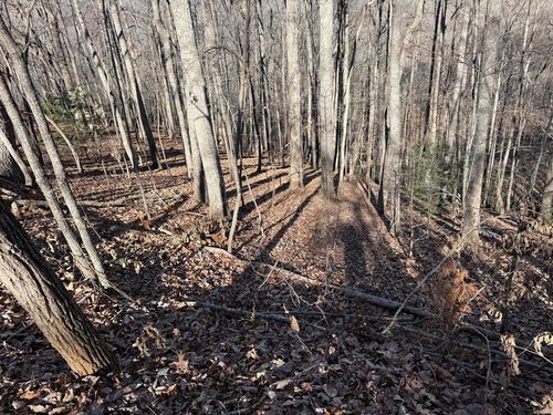 LOT 2 Doc Thomas Ridge Rd, Blairsville, GA, 30512-3277 | Card Image