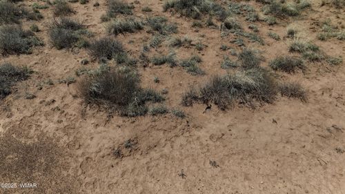 4962 Saddlehorn Rd, Snowflake, AZ, 85937 | Card Image