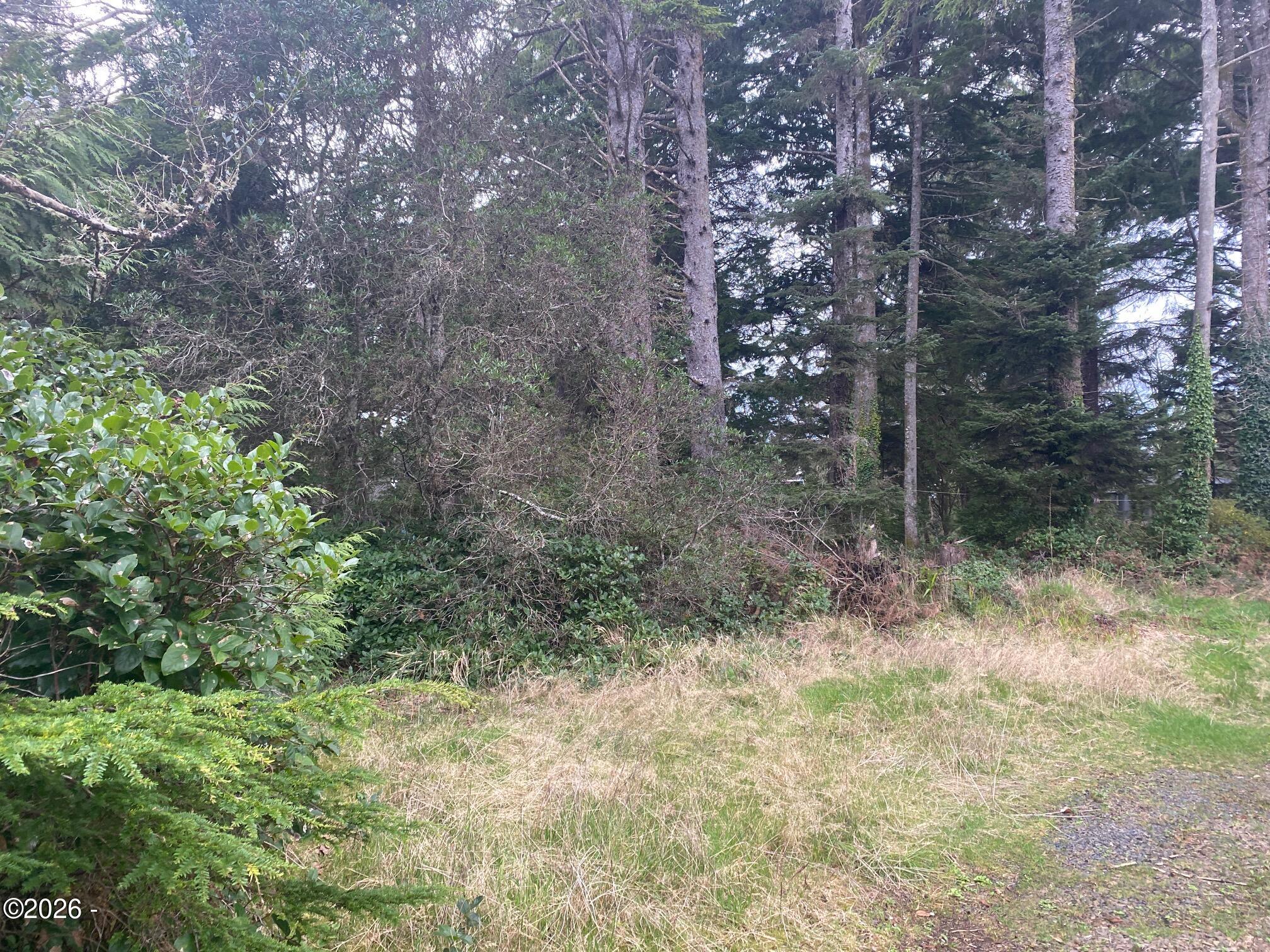 Land in Gleneden Beach 3