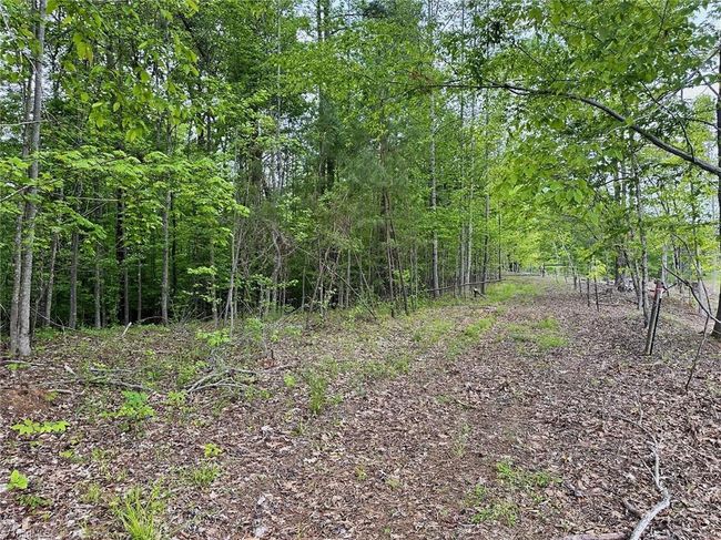 0 Windchester Ln, Home with 0 bedrooms, 0 bathrooms and null parking in Blanch NC | Image 10