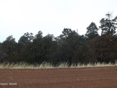 3500/3506 Evergreen Drive, Overgaard, AZ, 85933 | Card Image