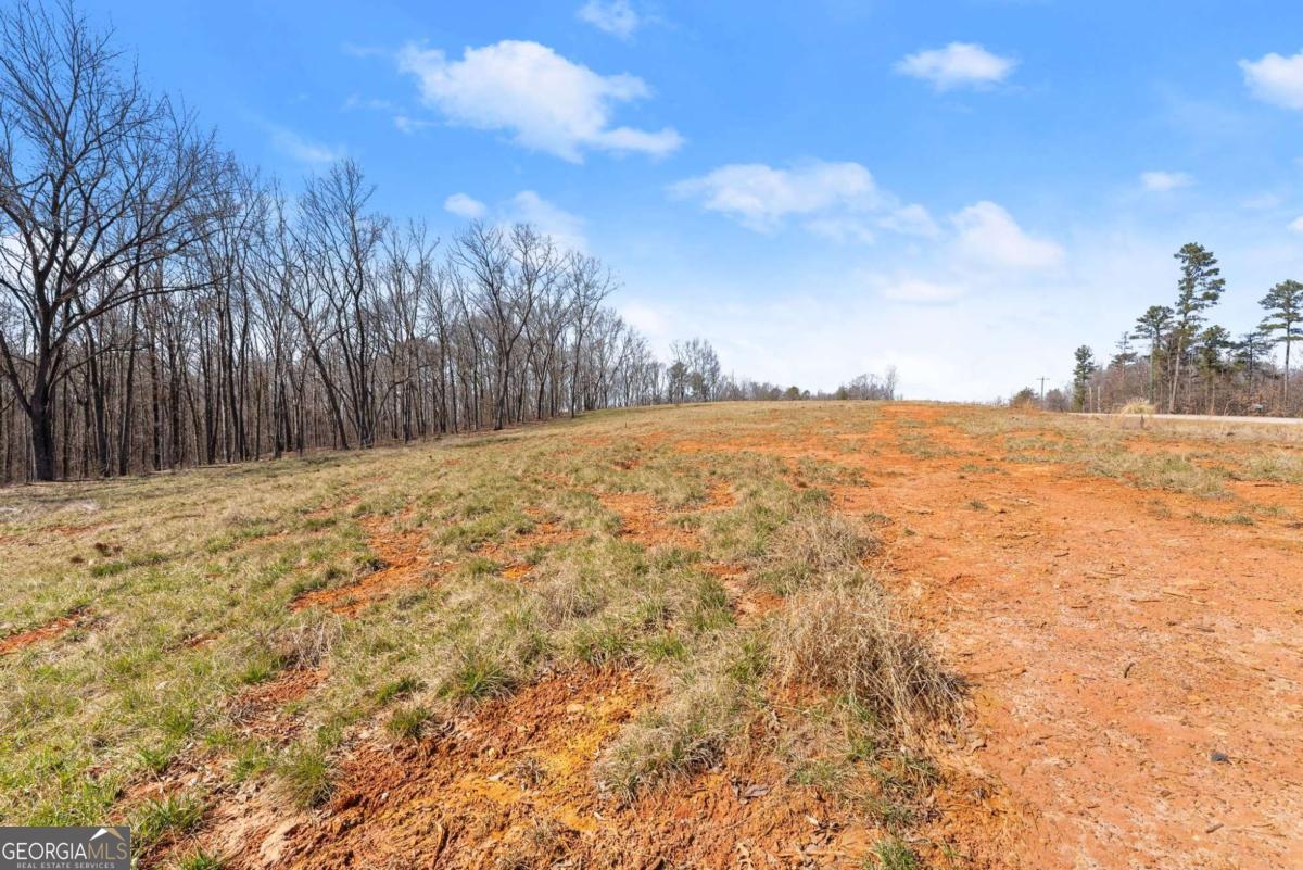 Land in Carnesville 4