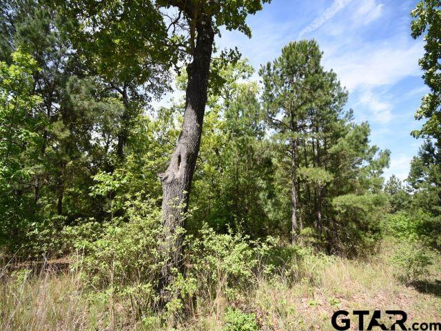 Land in Montalba 2