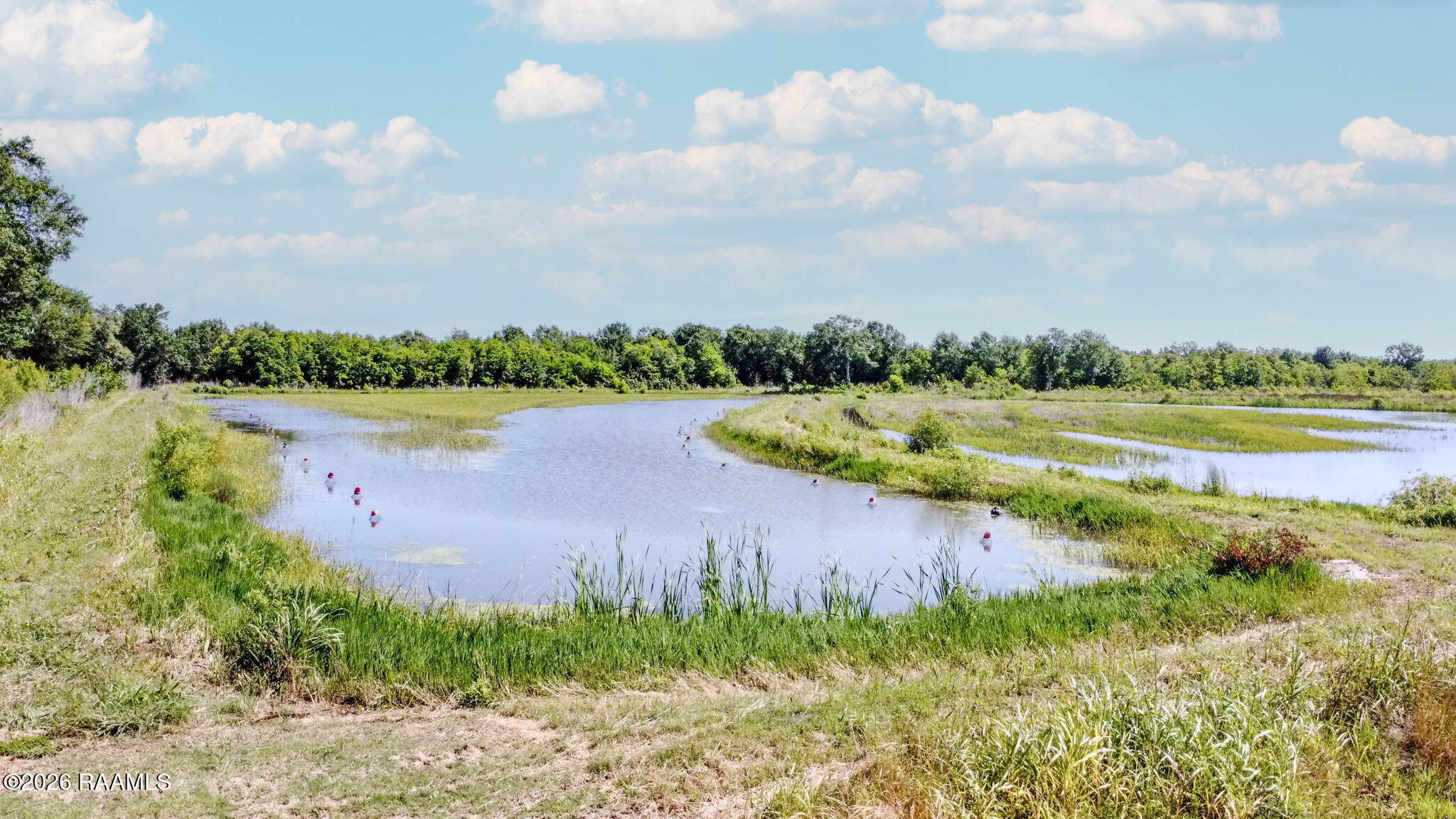 Land in Rayne 4