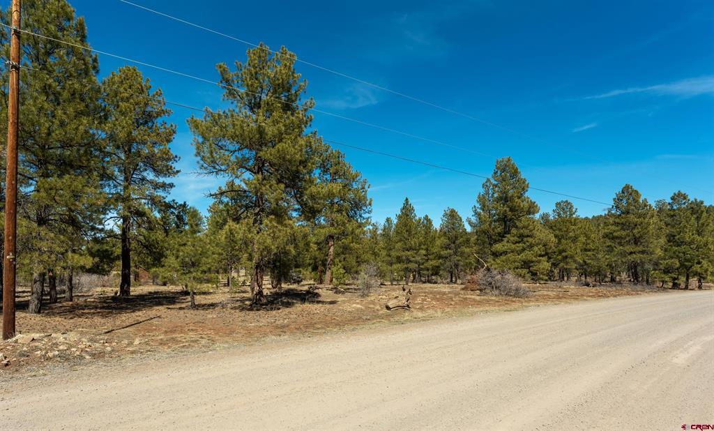 Land in Pagosa Springs 4