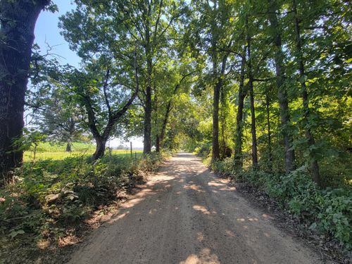 000 County Road 206, Alton, MO, 65606 | Card Image