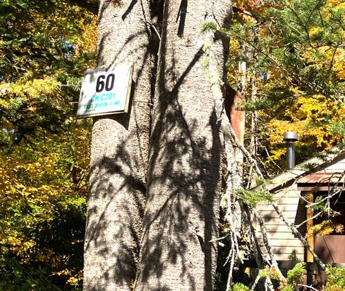 c-201-60 E Brook Crossing, Wilmington, VT, 05363 | Card Image