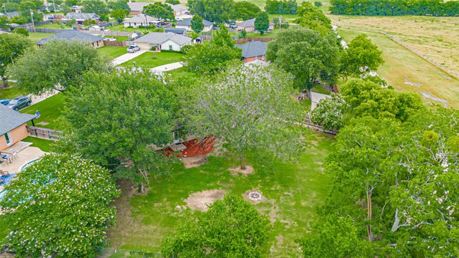 Drone / aerial view of a tree filled landscape | Image 21