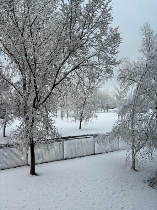 7204-14 Hemlock Crescent Sw, Calgary, AB, T3C2Z1 | Card Image