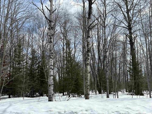 TBD Thornton Drive, Mancelona Township, MI, 49659 | Card Image
