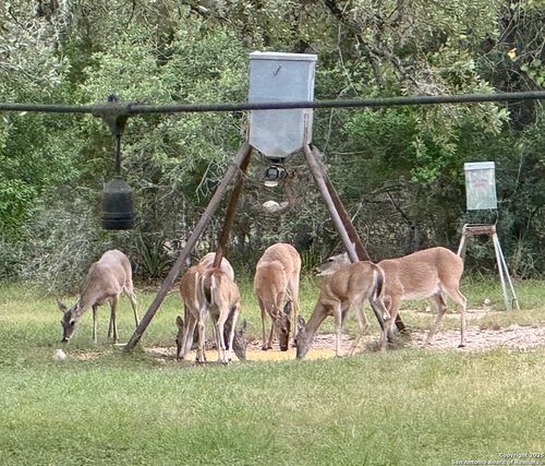 475 Stoney Hill Ln, Pipe Creek, TX, 78063-5206 | Card Image