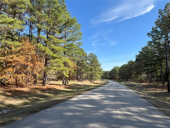 2 - 1142 Fletcher, House other with 3 bedrooms, 4 bathrooms and 3 parking in Anderson TX | Image 45