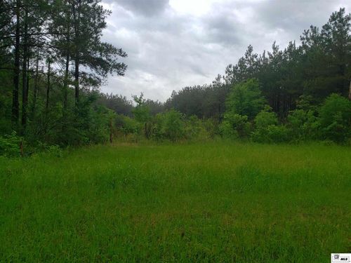 40 Whitehall Rd, Mangham, LA, 71259 | Card Image