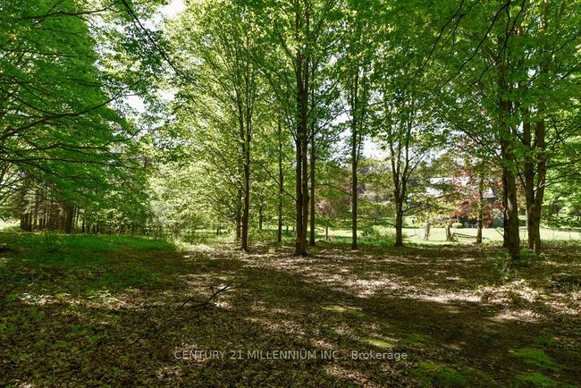 248504 5 Sideroad, House other with 3 bedrooms, 3 bathrooms and 18 parking in Mono ON | Image 41