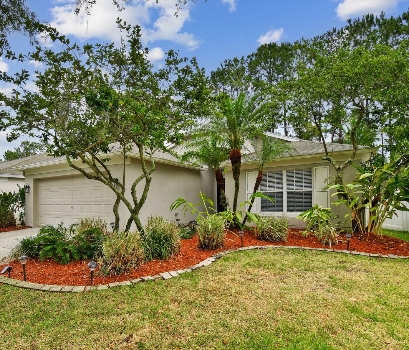Marchmont Blvd, Land O Lakes, FL 34638