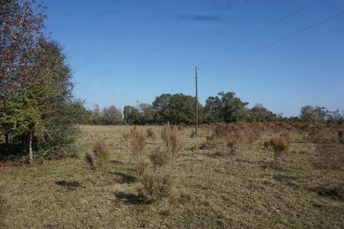 0 Bozeman Ferry Rd, Midway, TX, 75852 | Card Image