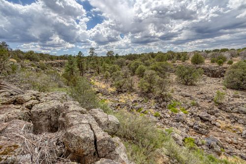 1866 Daggs Street, Show Low, AZ, 85901 | Card Image