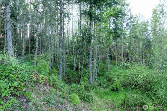 0 Discovery Ridge Rd, Home with 0 bedrooms, 0 bathrooms and null parking in Port Townsend WA | Image 24