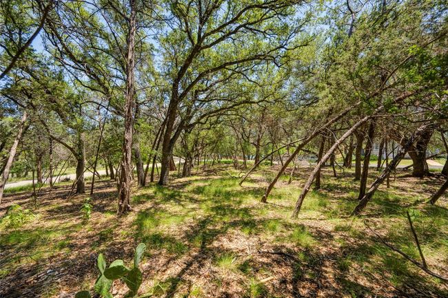 View of yard | Image 16