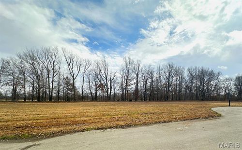 Lot 4 Regent Oak Dr, Dexter, MO, 63841-9302 | Card Image