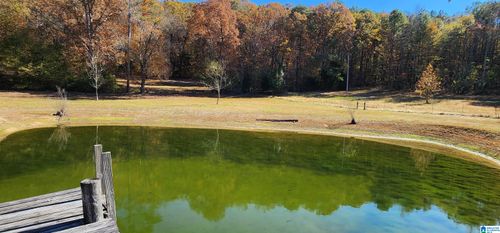 352 Kudzu Rd, Oneonta, AL, 35121-6251 | Card Image