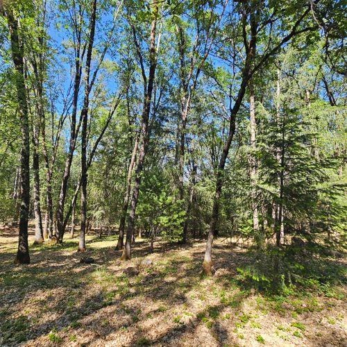 15367 Lakewood Lane, Grass Valley, CA, 95945 | Card Image