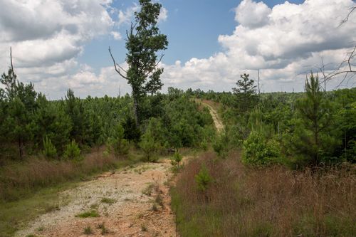 0 Low Gap Rd, Sugar Tree, TN, 38380 | Card Image