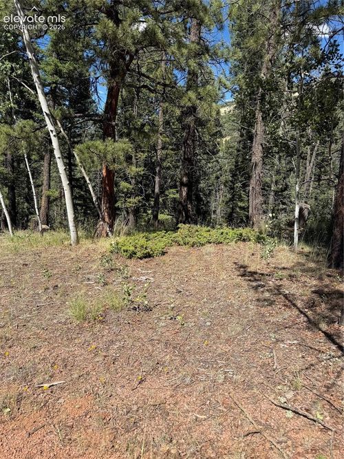 1007 Derby Dr, Cripple Creek, CO, 80813 | Card Image