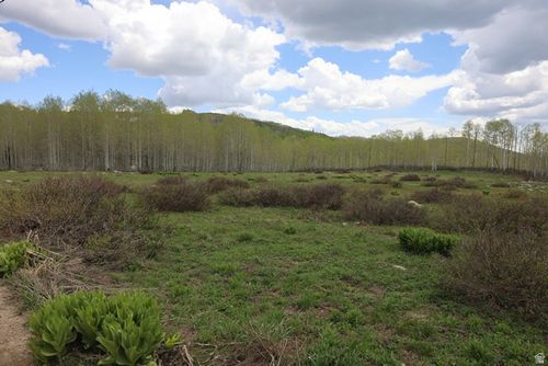 42-5274 N Larkspur Rd, Midway, UT, 84049 | Card Image