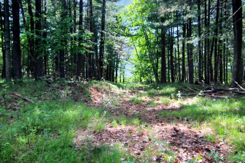 4294 Nod A Way Dr, Nisswa, MN, 56468-2914 | Card Image