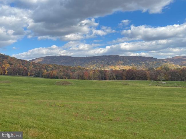 63 Buck Mountain Rd, House other with 4 bedrooms, 4 bathrooms and null parking in BENTONVILLE VA | Image 22