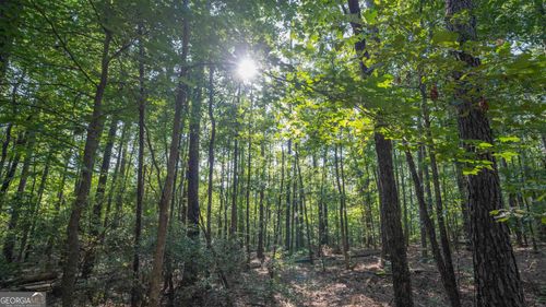 5085 Brooks Rd, Ideal, GA, 31041-5461 | Card Image