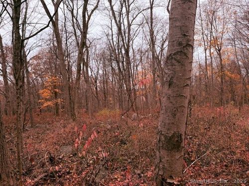 72D Walnut St, Seymour, CT, 06483 | Card Image