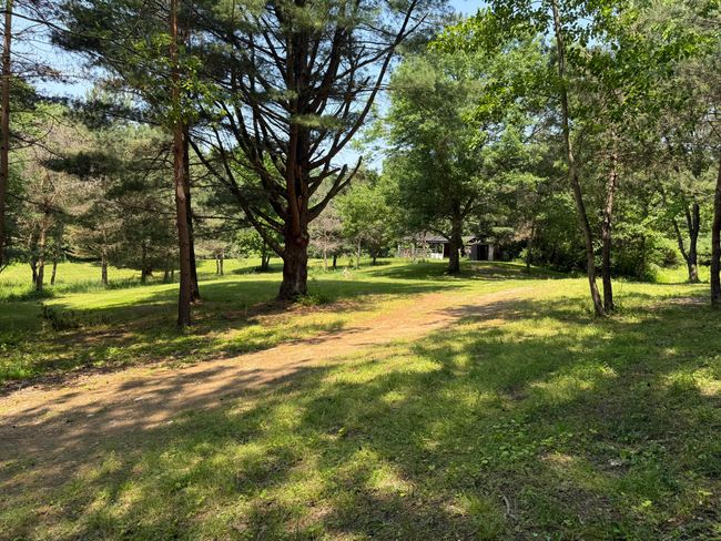 6458 Richardson Rd, Home with 0 bedrooms, 0 bathrooms and null parking in Howell MI | Image 21