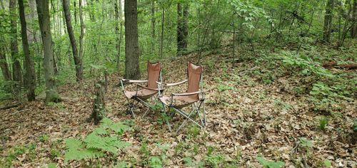 Vacant Woods Rd., Franklin Township, MI, 48624 | Card Image