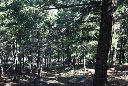 000 Upper Moss Rock Rd, Golden, CO, 80401 | Card Image