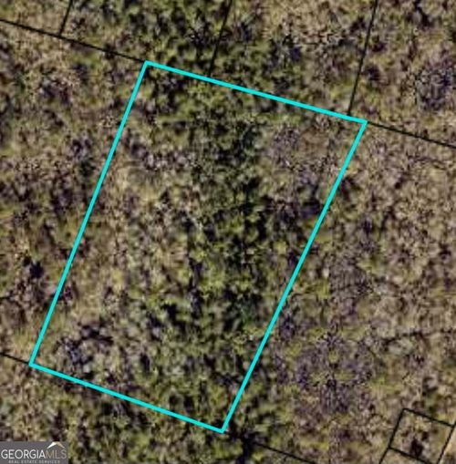 V/L PORT OF JAC Camden Ave, Woodbine, GA, 31569 | Card Image