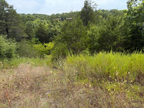 224 Blue Lake Trl, Branson West, MO, 65737-9020 | Card Image