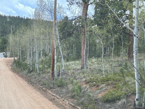 139 Obrien Rd, BAILEY, CO, 80421-1310 | Card Image