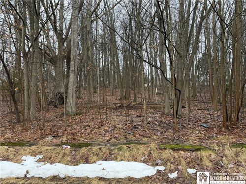 0 Willard Street, Jamestown, NY, 14701 | Card Image